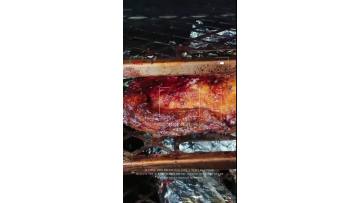 American Fruit Wood Charcoal Smoker