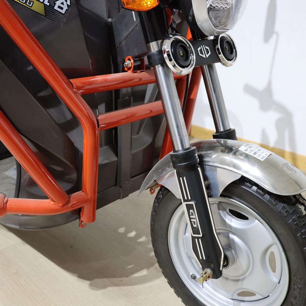 Electric Motor Vehicle