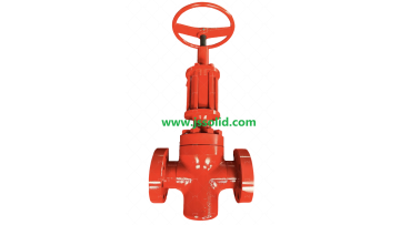MyVideo_1 hyd gate valve 
