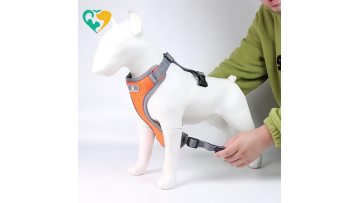 dog harness medium