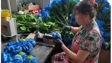 real touch big leaf hydrangea artificial silk hydrangea flowers1