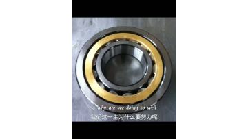 Efficient Needle Roller Bearing