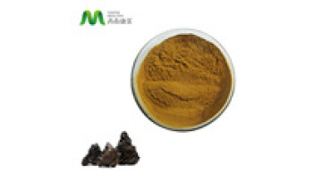 ODM Salajit Pure 100% Natural Asphaltum Punjabinum Soluable Fulvic Acid Food Grade Pure Authentic Shilajit Powder1