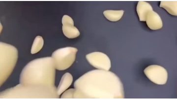 Organic Garlic Powder Bulk For Sale
