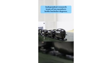 Video 19