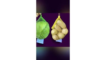 VEGETABLE NET2