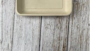 2D bagasse meat tray