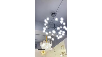 Frosted and transparent glass bulb chandelier