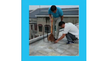 Construction steps of liquid coiled material