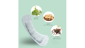 NDL-4 Niceday herbal panty liner