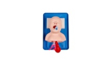 Neonatal Tracheal Intubation Model: Airway Training Manikin for Newborn Endotracheal Intubation1