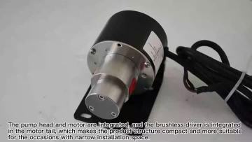 0.07CC Integral gear pump