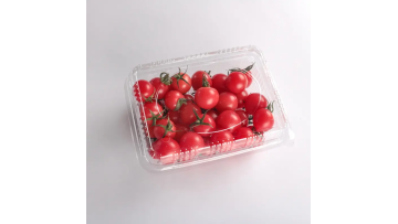 PET Tray production of video 