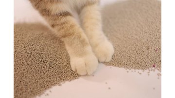 2.0mm Bentonite Cat Litter
