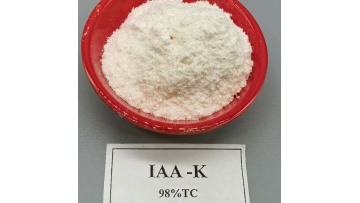 Indole-3-acetic acid Potassium salt 98% IAA-K - Auxin