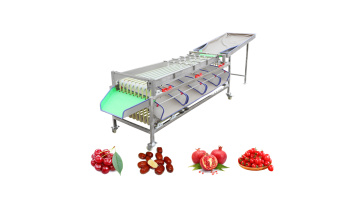Fruit and vegetable grading machine 