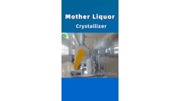 Mother liquor evaporator