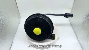 BJ-9109 Secondary Air Pump