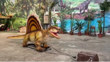 Dimetrodon Video