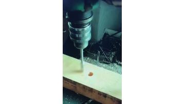 Flat Spad Wood Drill