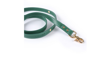 leather leash.MP4