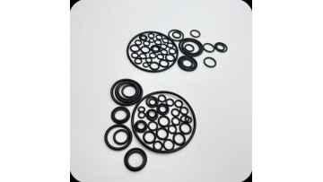 12-lifter repair kit