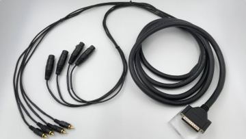 DB 25P to 4 RCA and 4 XLR