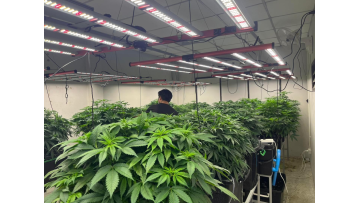 AGLEX K series 100w, 200w and 400w