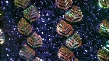 sample available 7 days Customize Sequin Embroidery For Dress Multicolor Sequin Fabric1