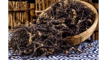 Dried Bracken Foods