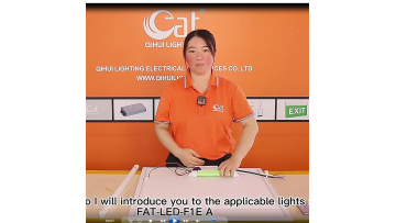 LED emergency driver for emeregncy lighting