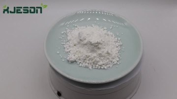 Pumpkin Seed Extract