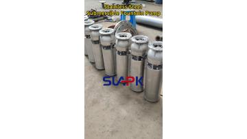 Stainless Steel Submersible Fountain Pump