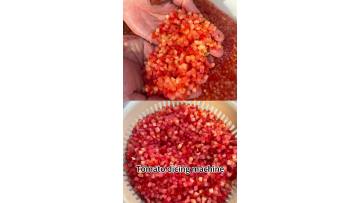 Tomato dicing machine