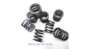 three purpose valve spring
