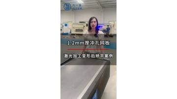 1.2mm Hole-Plating Mesh Plate leveling case