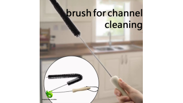 Cleaning brush