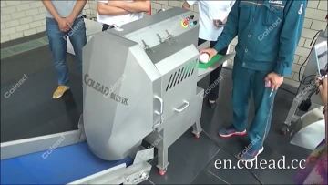 Conveyor belt