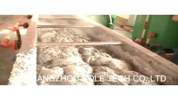 Hollow paddle dryer