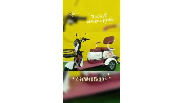 Compact and stylish design electric tricycle