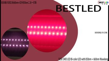 5050 SMD LED Bi-color LED 