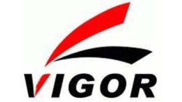 Vigor Plus Co., Ltd