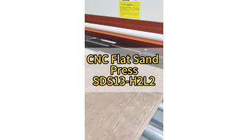 SDS13-H2L2_solid_wood_sanding.mp4