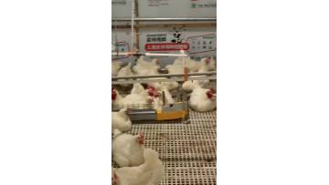 Plastic slatted floor
