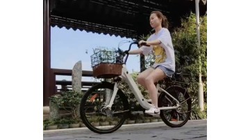 LC01EZ City E Bike With Basket