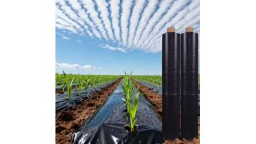 LDPE Perforated Black Agricultural Mulch Film