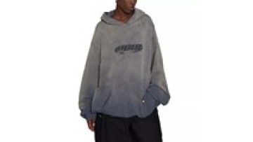 Custom Embroidery Print Logo Casual High Quality Heavyweight French Terry Cotton Blank Hoodie1