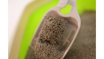 Mixed Size Aloe Vera Scented Bentonite Cat Litter