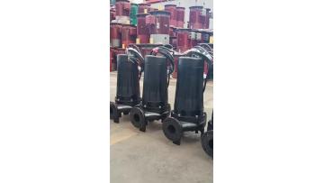 QW submersible sewage pump 6