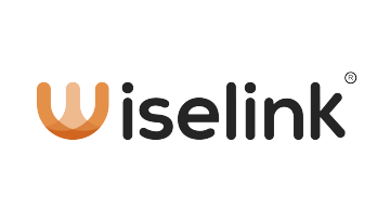 Guangdong Wiselink Ltd.
